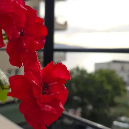 Valza Boutique Szálloda Vlora