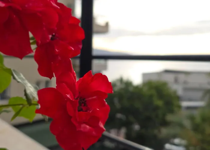 Valza Boutique Hotel Vlore